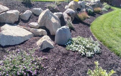 Why You Should Choose a Landscape Company in Fair Oaks